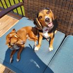 dolly,owen - @dollyandowen - Instagram