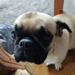 Dolly_ramirez - @dollyramirez_ - Instagram