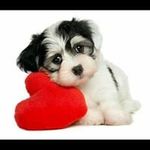 Dolly Ramirez - @auris0210 - Instagram