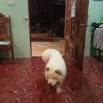 Dolly Rossi - Facebook