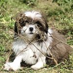 Rossi__Dolly_ - @rossi__dolly_ - Instagram