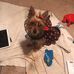Dolly Stauffer - Facebook