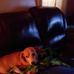 Dolly Terry - Facebook