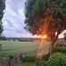 Dolly Walters - Facebook