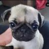 Dolly Webb623 - @dollywebb623 - TikTok