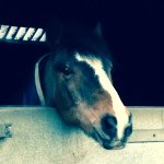 Dolly Webb - @dollywebb05 - Instagram