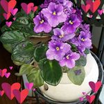 Delores Bates Tompkins - @tompkinsdelores - Instagram