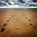 Dolores Beach - @doloresbeach - Instagram