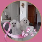 Dolores Blockelet - Facebook