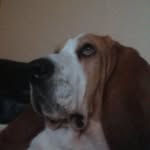 Dolores Breen - @doloresbreen1590 - Instagram
