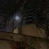 Dolores Briggs - @doloresbriggs7372 - TikTok
