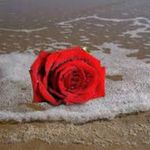 Dolores Castro - @dolores.castro.568847 - Instagram