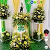 Dolores Castro - @dolores.castro596 - TikTok