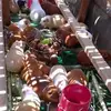 Dolores Chavez - @dolores.chavez77 - TikTok