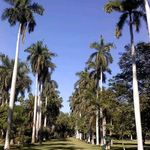 Dolores Cisneros - @dolores.cisneros.7543 - Instagram