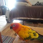 Dolores Cisneros - @dolores.cisneros.589 - Instagram