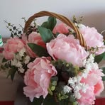Dolores Collado - Facebook