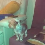 Dolores Collado Salas - @colladosalas - Instagram
