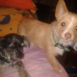 Dolores Fernandez Collado - @colladodoloresfernandez - Instagram