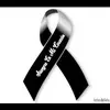 Dolores Roca Collado - @dolores.roca.coll - TikTok