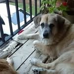 Dolores Decker - @doloresdecker2 - Instagram