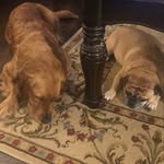 Dolores Snyder- Frey - @doloressnyderfrey - Instagram