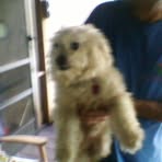 Dolores Hatcher - Facebook