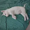 Dolores Klein - @dolores.klein - TikTok