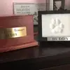 lorsie - @doloresklein0 - TikTok