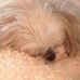Dolores Knapp - Facebook