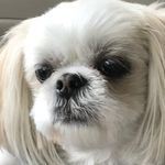 Dolores Knapp - @doloresknapp57 - Instagram