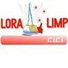 M Dolores Lora - @m.dolores.lora - TikTok
