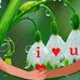 Dolores Lyons - Facebook