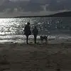 doloresmarshall69 - @doloresmarshall69 - TikTok