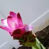 Dolores Esmeier - @doloresesmeier - TikTok