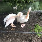 Dolores Murphy - @doloresmurphy531 - Instagram