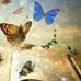 Dolores Murphy - Facebook