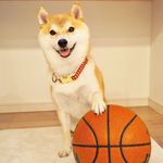 Dolores Murphy - @woxfco0334 - Instagram