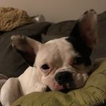 Dolores Perry - @theycallmedolores - Instagram