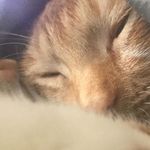 Dolores Quintero - @dolores_quintero01 - Instagram