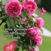Dolores Quintero - @dolores.quintero05 - TikTok