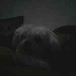 Dolores Quintero - @quinterodolores - Instagram