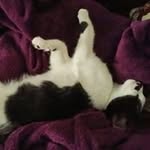 Dolores Shelton - @dolores.shelton - Instagram