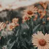 Hi - @b.u.b..b.l..e - TikTok