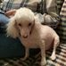 Dolores Slagh - Facebook
