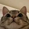 ᯓ★ - @doloress_mallory - TikTok