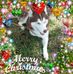Dolores Stack - Facebook