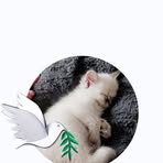 Dolores Stapleton - Facebook
