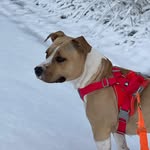 Dom - @dom.hayes_ - Instagram