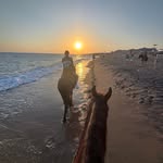 Dom Hayes - @domhayes11 - Instagram